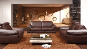 Room Leather Sofa